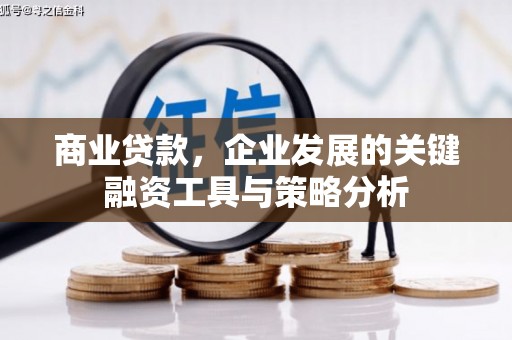 南县商业贷款，企业发展的关键融资工具与策略分析