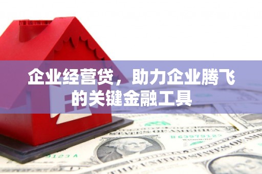 南县企业经营贷，助力企业腾飞的关键金融工具