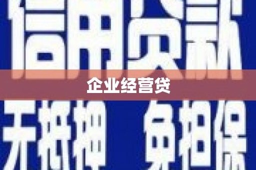 南县企业经营贷