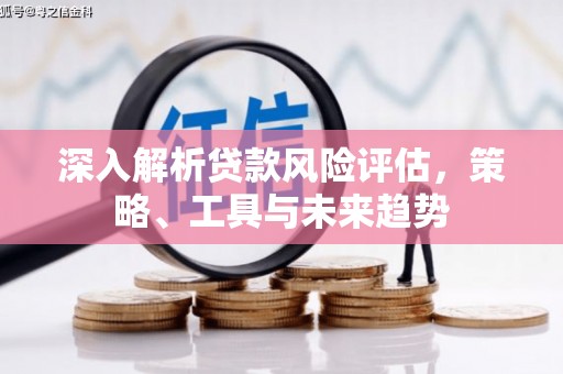 南县深入解析贷款风险评估，策略、工具与未来趋势