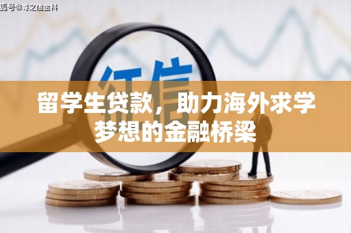 南县留学生贷款，助力海外求学梦想的金融桥梁