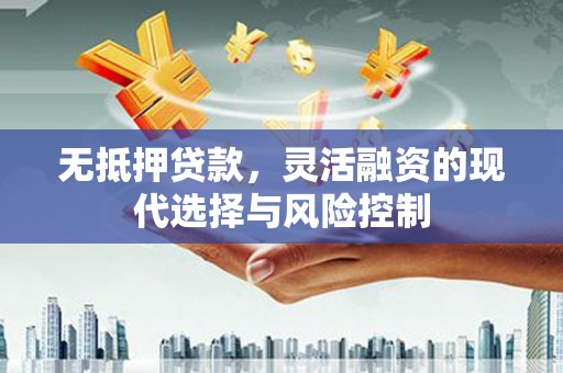 南县无抵押贷款，灵活融资的现代选择与风险控制