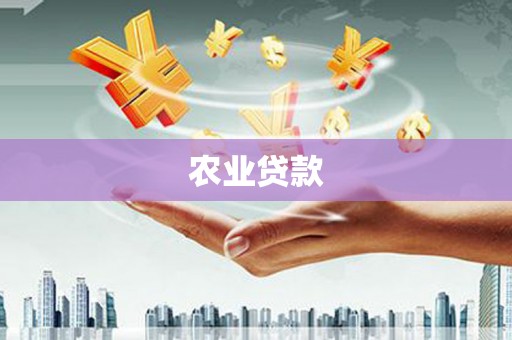 南县农业贷款