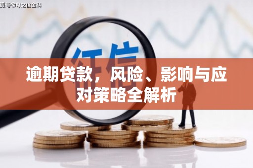 南县逾期贷款，风险、影响与应对策略全解析