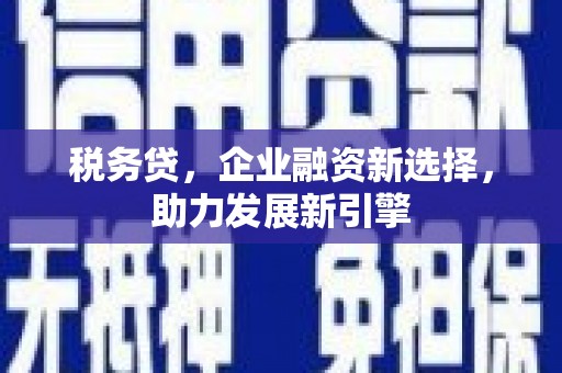 南县税务贷，企业融资新选择，助力发展新引擎