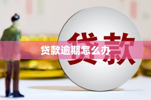 南县贷款逾期怎么办