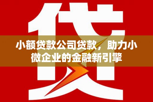 南县小额贷款公司贷款，助力小微企业的金融新引擎