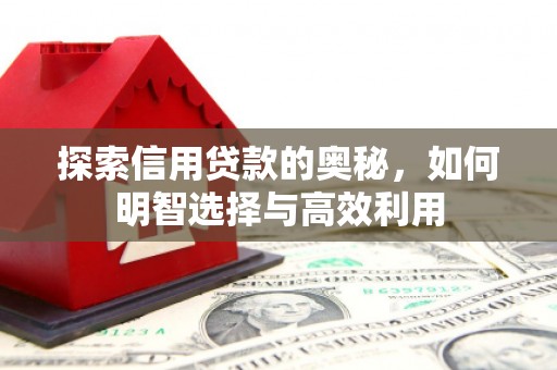 南县探索信用贷款的奥秘，如何明智选择与高效利用