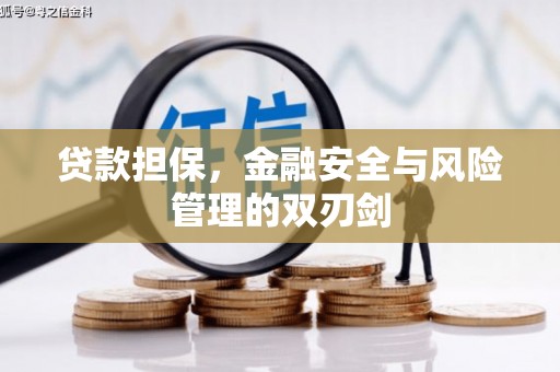 南县贷款担保，金融安全与风险管理的双刃剑