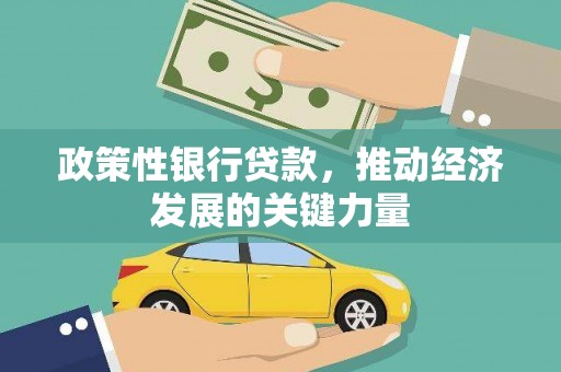 南县政策性银行贷款，推动经济发展的关键力量