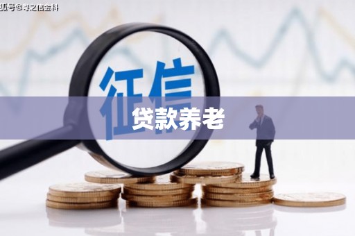 南县贷款养老