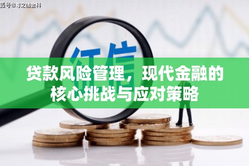 南县贷款风险管理，现代金融的核心挑战与应对策略