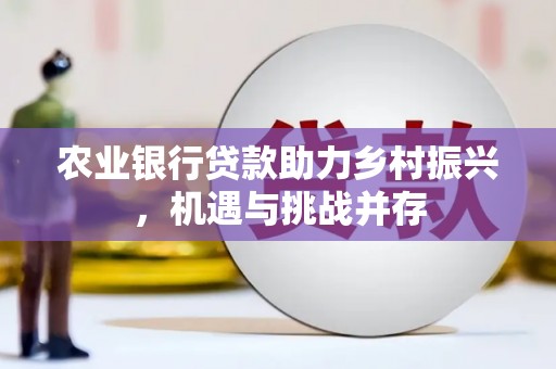 南县农业银行贷款助力乡村振兴，机遇与挑战并存