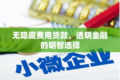 南县无隐藏费用贷款，透明金融的明智选择