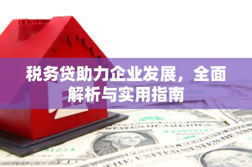 南县税务贷助力企业发展，全面解析与实用指南
