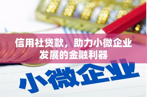 南县信用社贷款，助力小微企业发展的金融利器