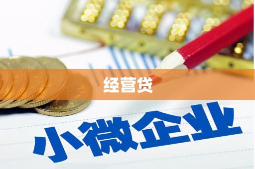 南县经营贷