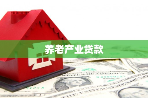 南县养老产业贷款