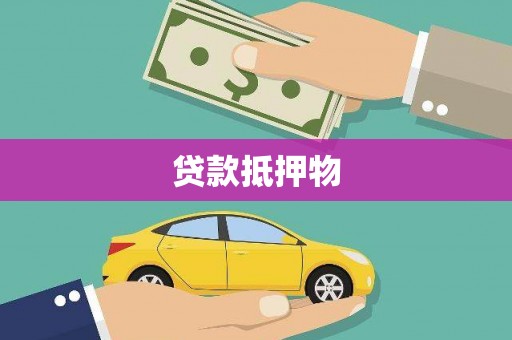 南县贷款抵押物