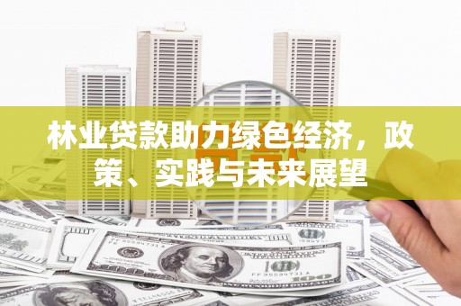 南县林业贷款助力绿色经济，政策、实践与未来展望