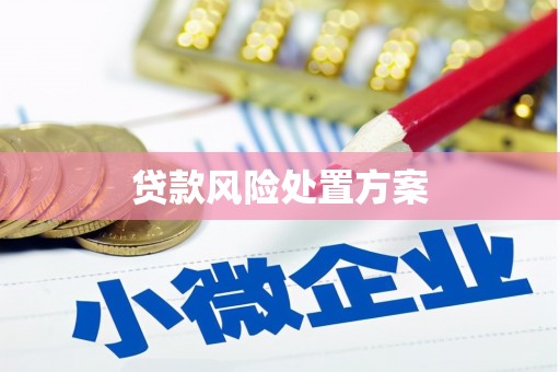 南县贷款风险处置方案
