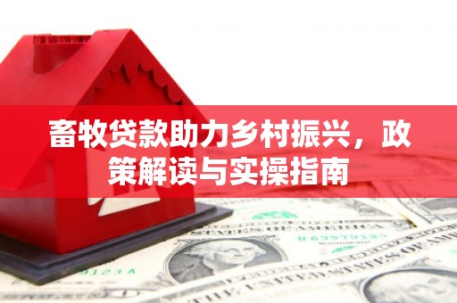 南县畜牧贷款助力乡村振兴，政策解读与实操指南